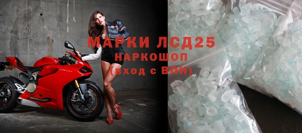 индика Аркадак