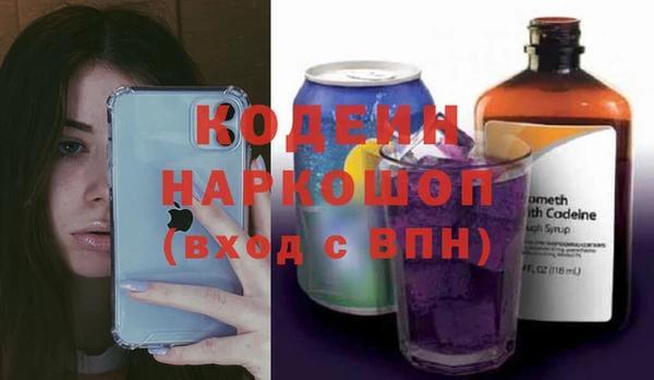 индика Аркадак
