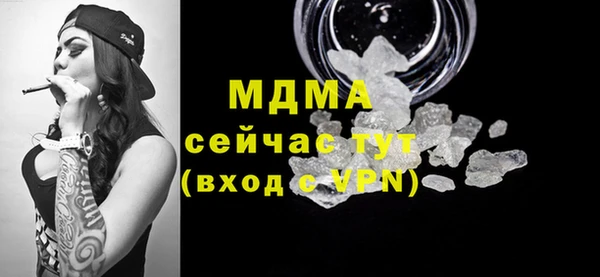 индика Аркадак