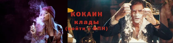 индика Аркадак