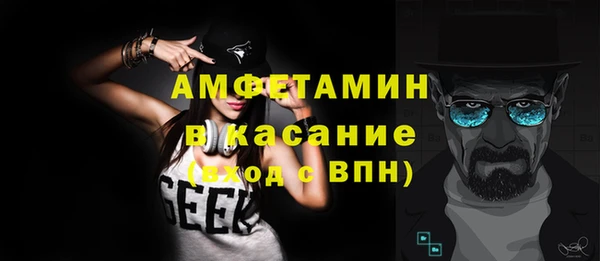 индика Аркадак