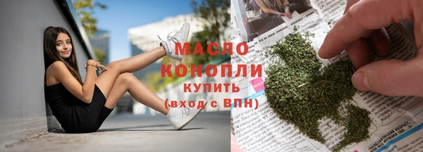 индика Аркадак